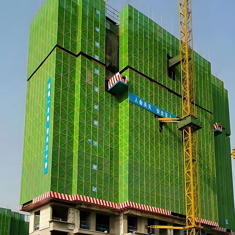 ����������Ƭ